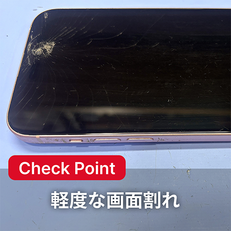 Dランク イメージ1